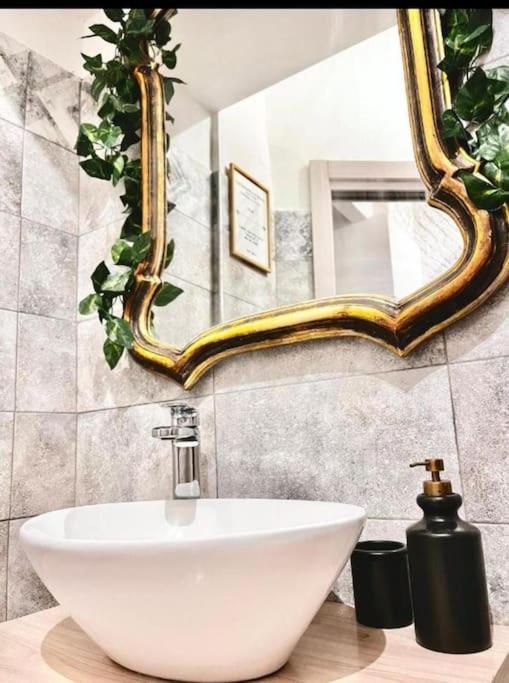 Casa Torino Noe - Graziosa Suite Vicino Al Centro Ngoại thất bức ảnh